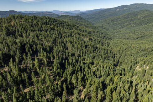 four-corners-ranch-southern-oregon-timberland-30