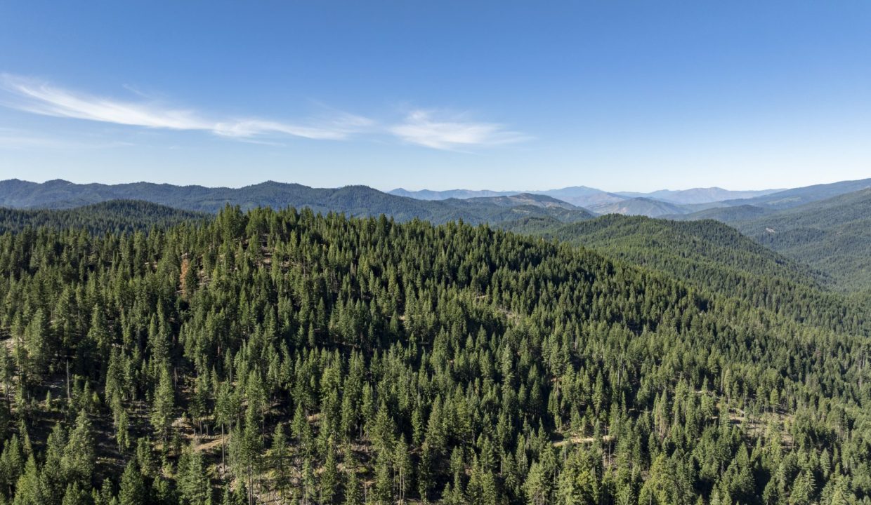 four-corners-ranch-southern-oregon-timberland-31
