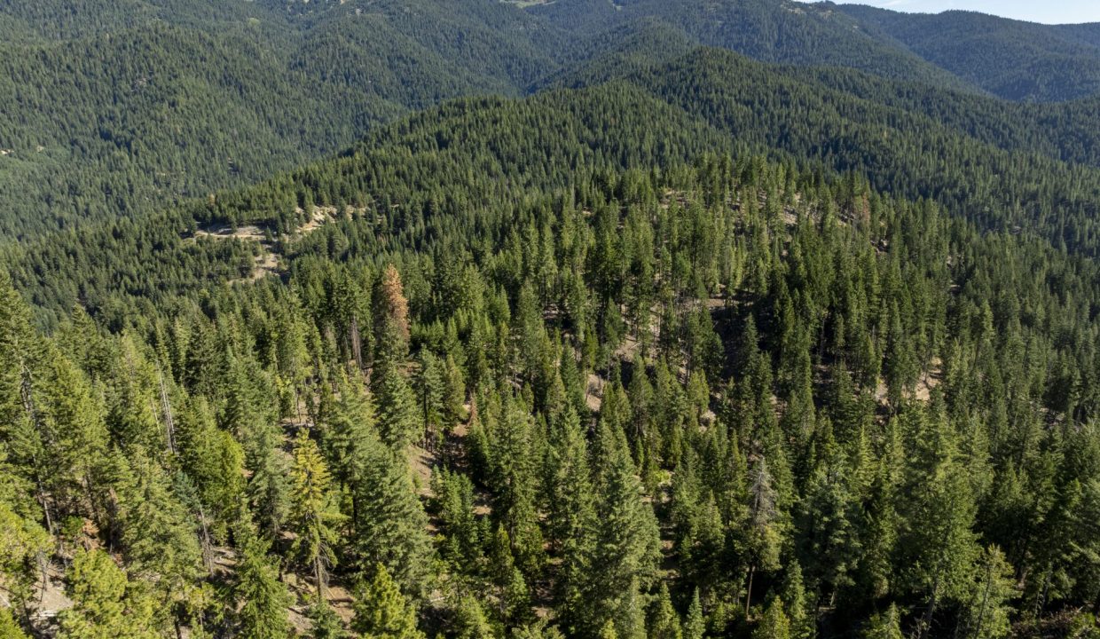 four-corners-ranch-southern-oregon-timberland-32