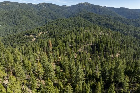 four-corners-ranch-southern-oregon-timberland-32