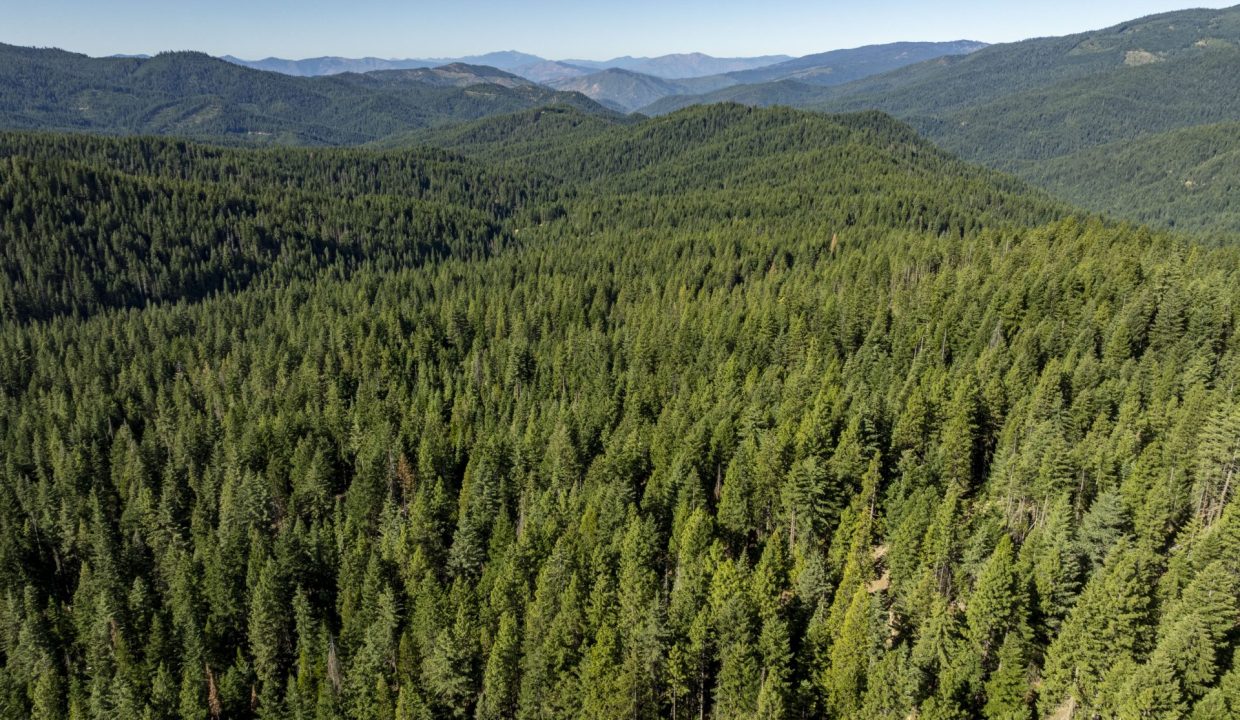 four-corners-ranch-southern-oregon-timberland-33