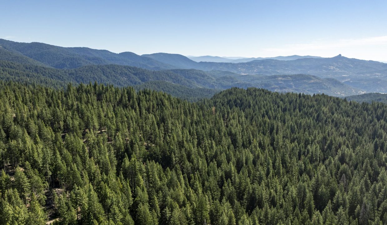 four-corners-ranch-southern-oregon-timberland-34