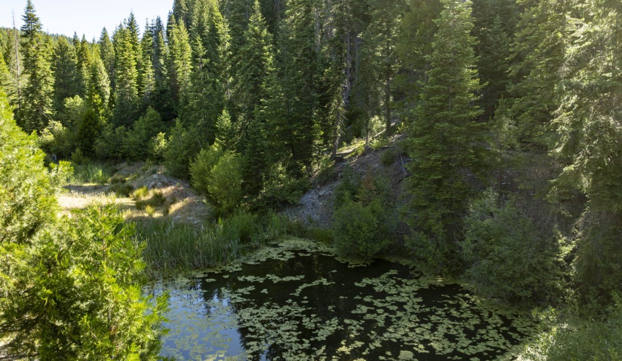 four-corners-ranch-southern-oregon-timberland-38