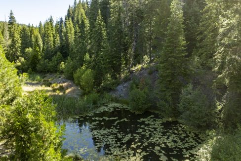 four-corners-ranch-southern-oregon-timberland-38