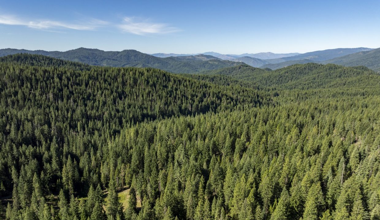 four-corners-ranch-southern-oregon-timberland-4