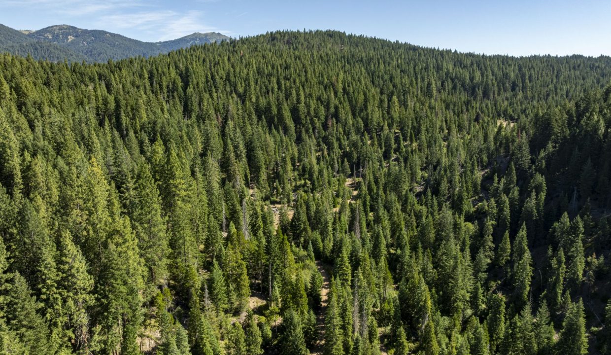 four-corners-ranch-southern-oregon-timberland-40