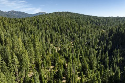 four-corners-ranch-southern-oregon-timberland-40