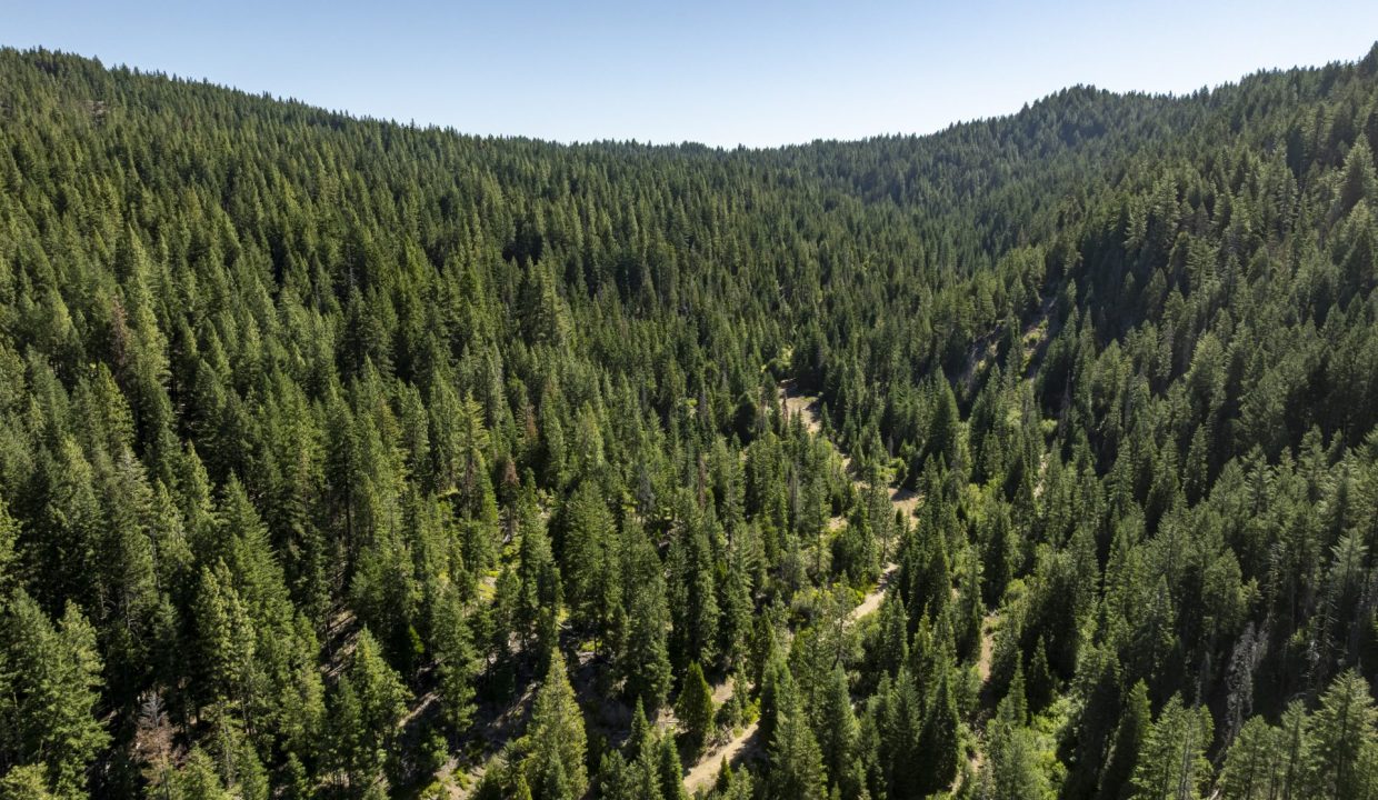 four-corners-ranch-southern-oregon-timberland-41