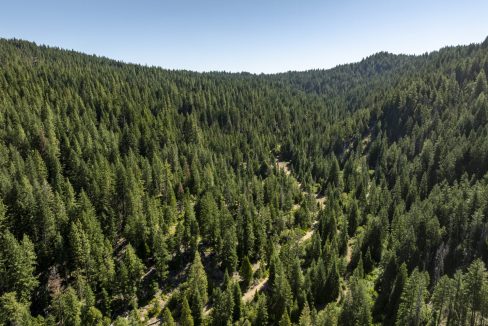 four-corners-ranch-southern-oregon-timberland-41