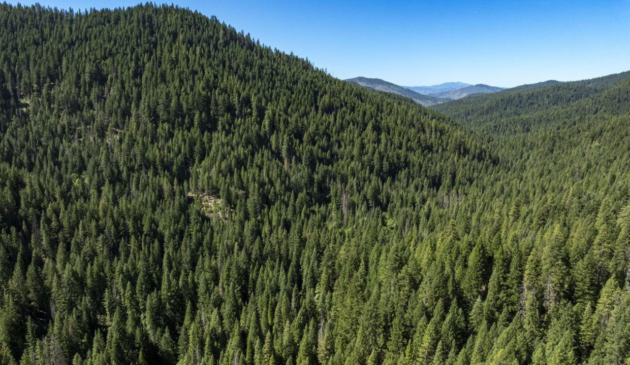 four-corners-ranch-southern-oregon-timberland-42