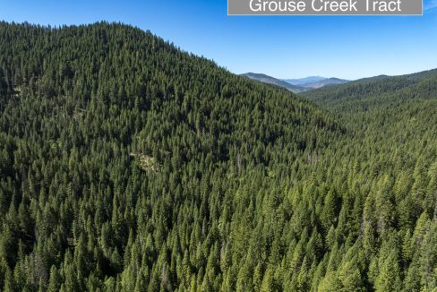 four-corners-ranch-southern-oregon-timberland-42