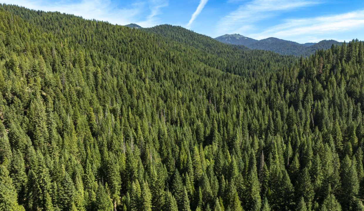 four-corners-ranch-southern-oregon-timberland-43