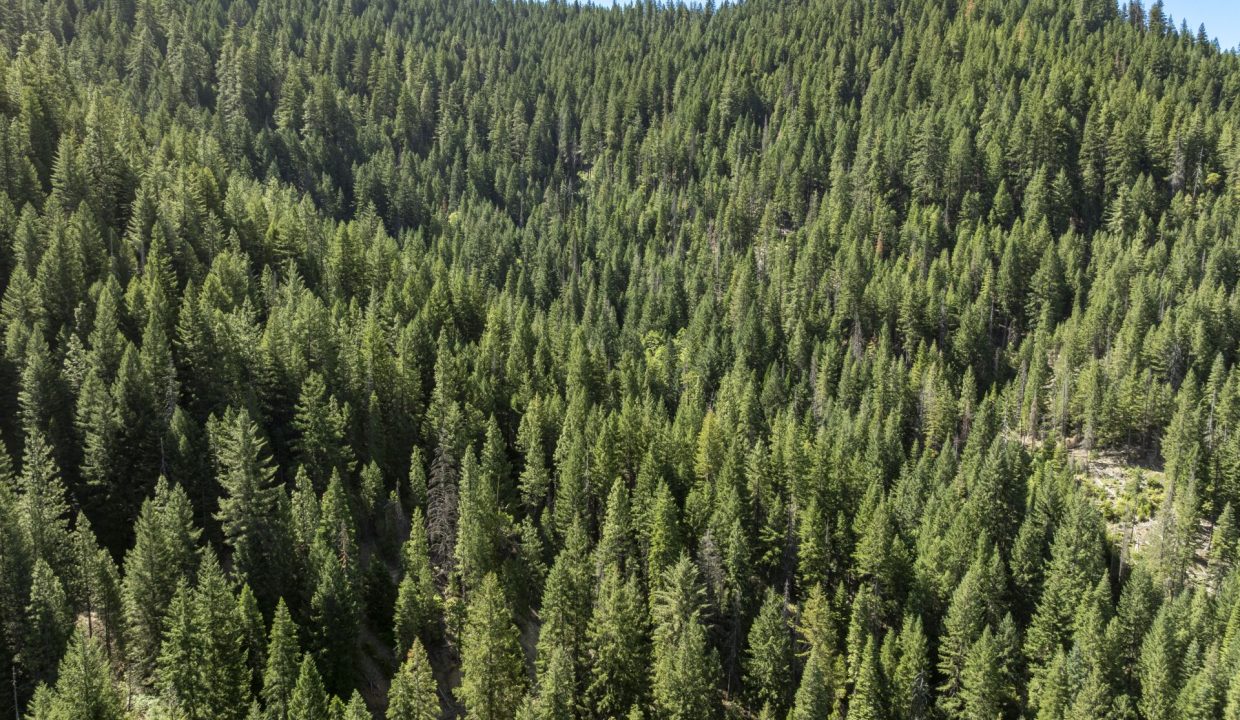 four-corners-ranch-southern-oregon-timberland-44