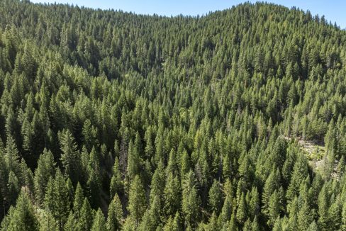 four-corners-ranch-southern-oregon-timberland-44