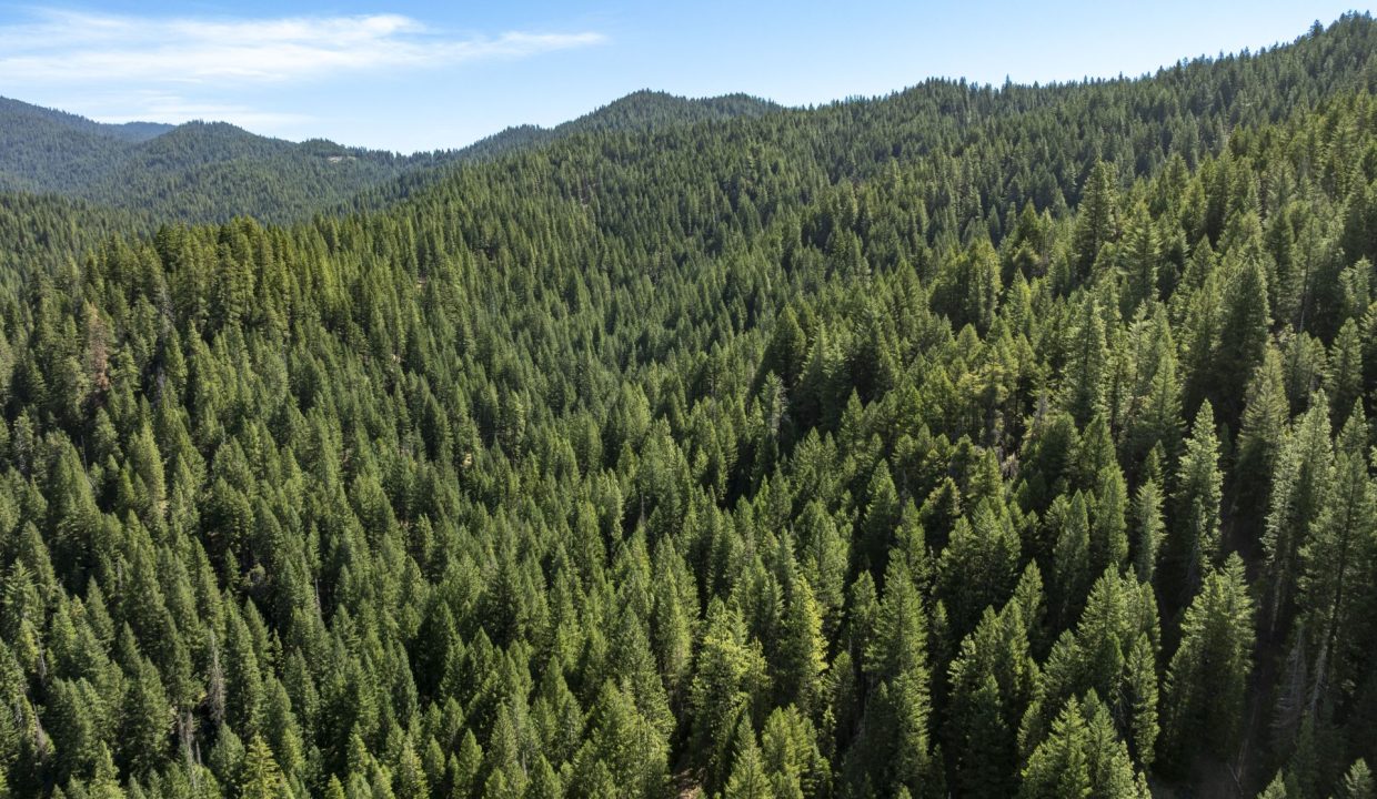 four-corners-ranch-southern-oregon-timberland-45