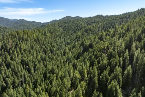 four-corners-ranch-southern-oregon-timberland-45
