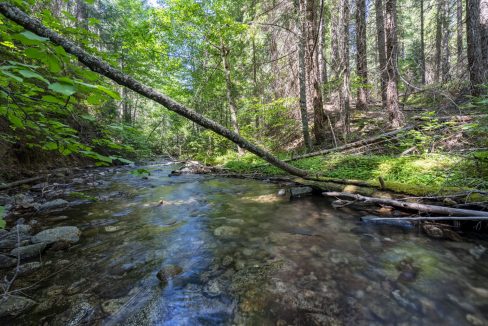 four-corners-ranch-southern-oregon-timberland-47
