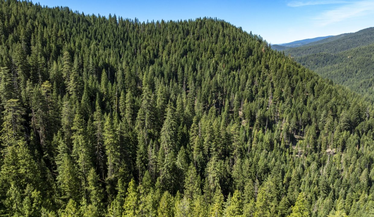 four-corners-ranch-southern-oregon-timberland-48