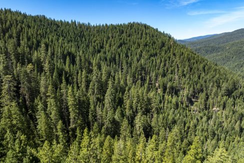 four-corners-ranch-southern-oregon-timberland-48
