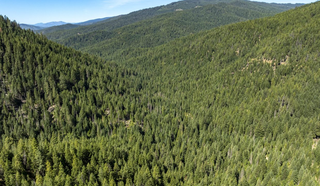 four-corners-ranch-southern-oregon-timberland-49