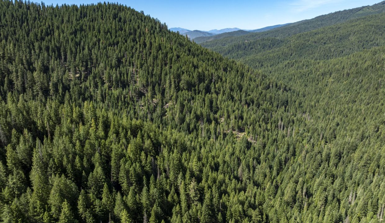 four-corners-ranch-southern-oregon-timberland-50