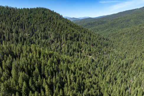 four-corners-ranch-southern-oregon-timberland-50
