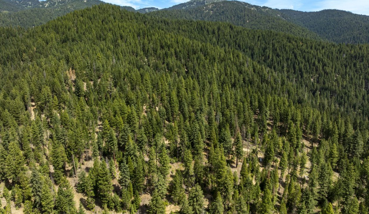 four-corners-ranch-southern-oregon-timberland-51