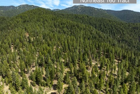 four-corners-ranch-southern-oregon-timberland-51