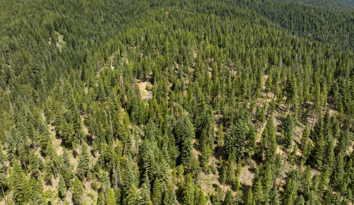 four-corners-ranch-southern-oregon-timberland-52