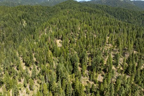 four-corners-ranch-southern-oregon-timberland-52
