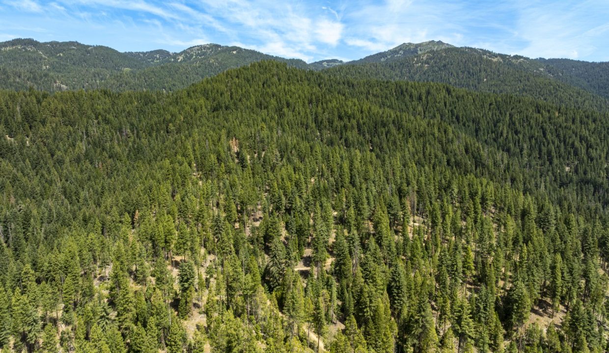four-corners-ranch-southern-oregon-timberland-53