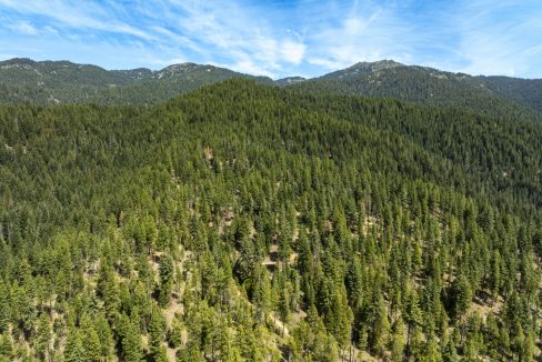 four-corners-ranch-southern-oregon-timberland-53