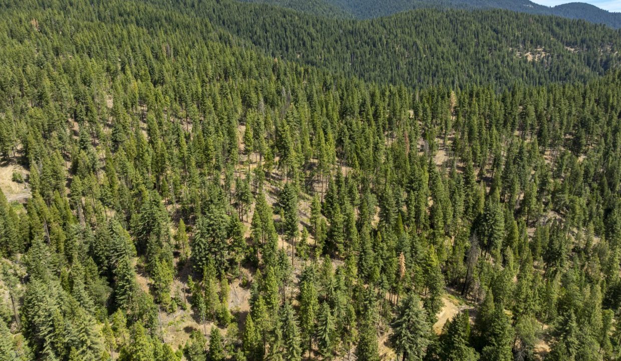 four-corners-ranch-southern-oregon-timberland-54