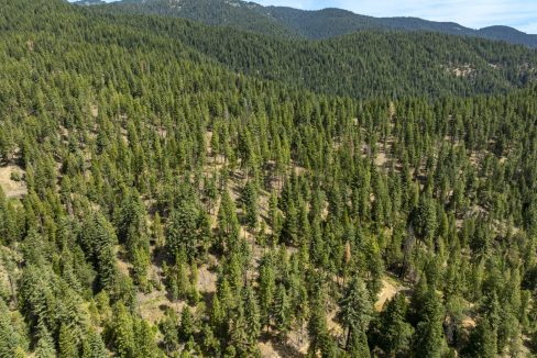 four-corners-ranch-southern-oregon-timberland-54