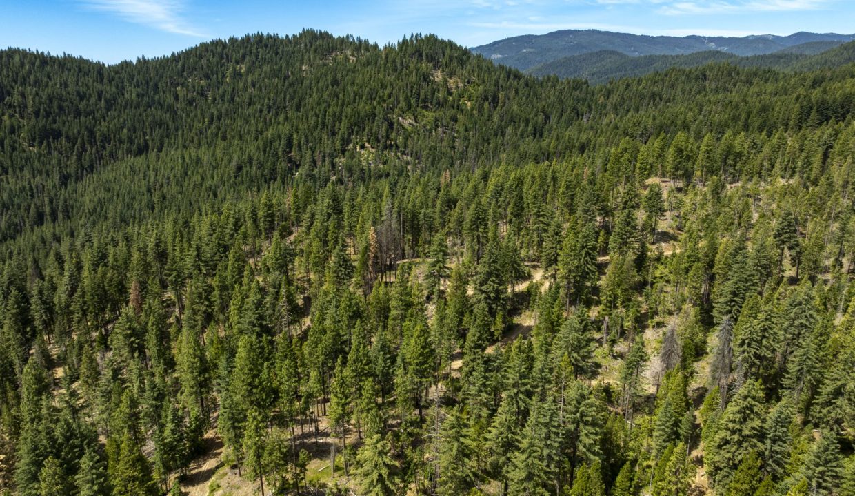 four-corners-ranch-southern-oregon-timberland-55